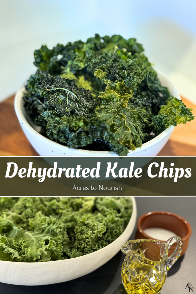 Dehydrated Kale Chips