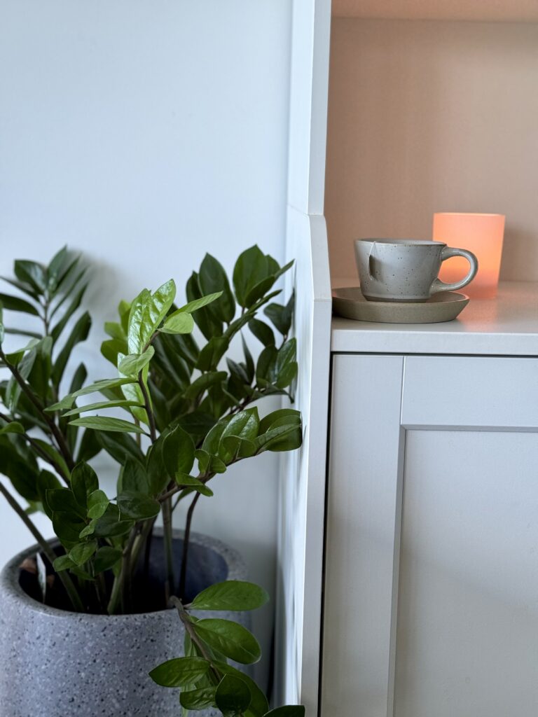 Cup of tea, lit candle and a plant in pot