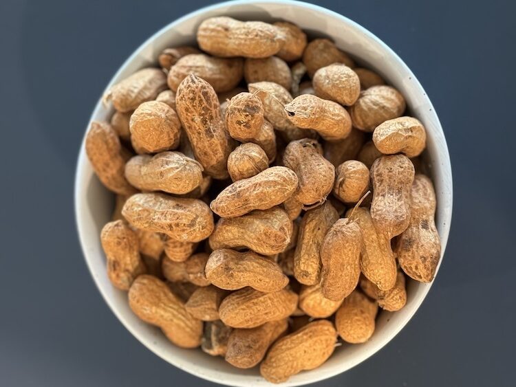 Bowl of Shelled Peanuts