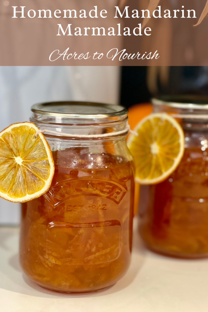 Pinterest Pin homemade mandarin marmalade